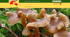Desktop Screenshot of pilzmuseum.de